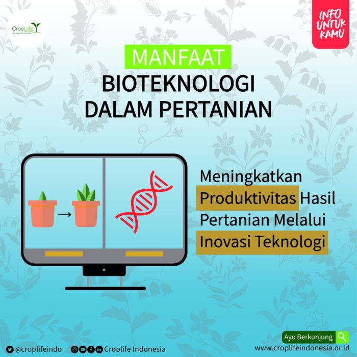 Bioteknologi Modern: Manfaat dan Risiko